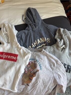 BUNDLE of 4: 3 hoodies and 1 sweatshirt